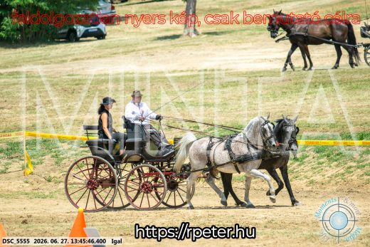 Mintakép 20260627-2438