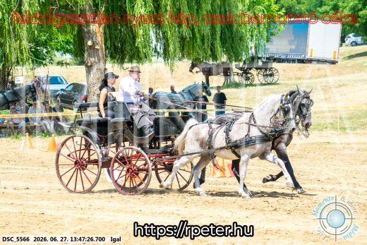 Mintakép 20260627-2444