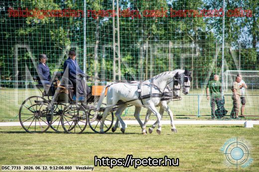 Mintakép 20260612-81