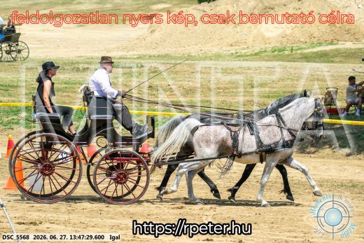 Mintakép 20260627-2445