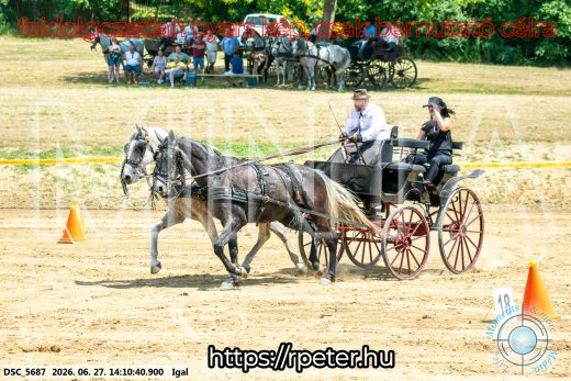 Mintakép 20260627-2452