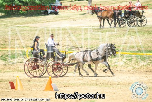 Mintakép 20260627-2456
