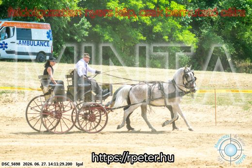 Mintakép 20260627-2460