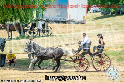 Mintakép 20260627-2462