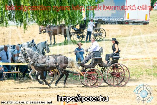 Mintakép 20260627-2463