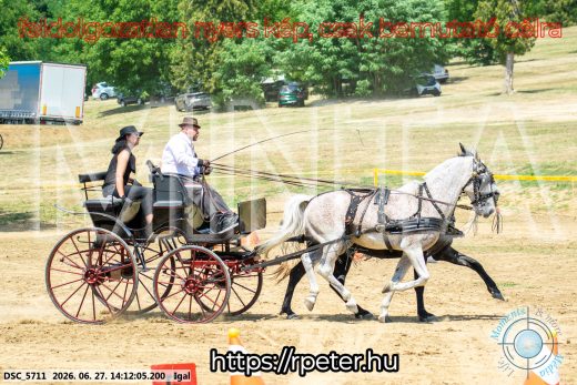 Mintakép 20260627-2467
