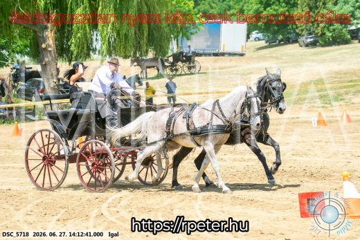 Mintakép 20260627-2472