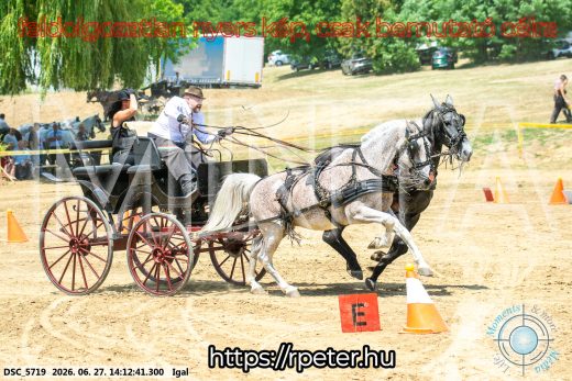 Mintakép 20260627-2473