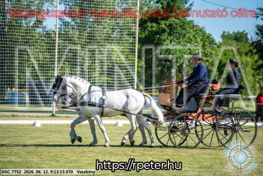 Mintakép 20260612-95