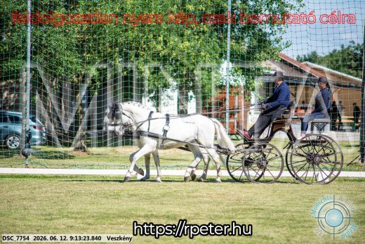 Mintakép 20260612-97