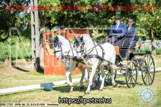 Mintakép 20260612-100