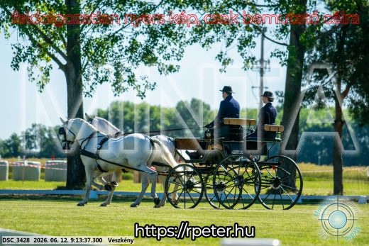 Mintakép 20260612-104