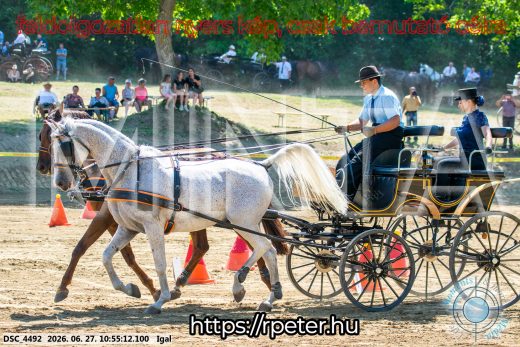 20260627-105512-DSC_4492.jpg