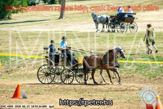 Mintakép 20260627-2479