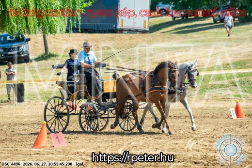 Mintakép 20260627-2480