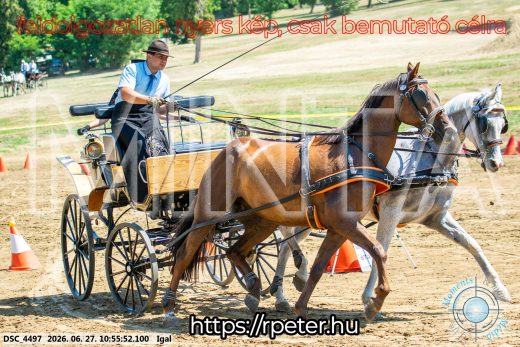 Mintakép 20260627-2481