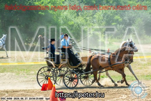 Mintakép 20260627-2482