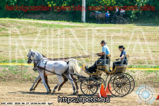 Mintakép 20260627-2483