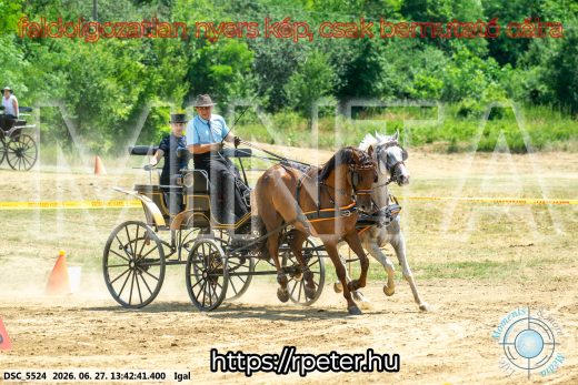 Mintakép 20260627-2492