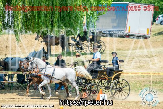Mintakép 20260627-2495