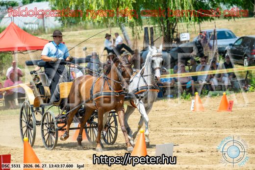 Mintakép 20260627-2496