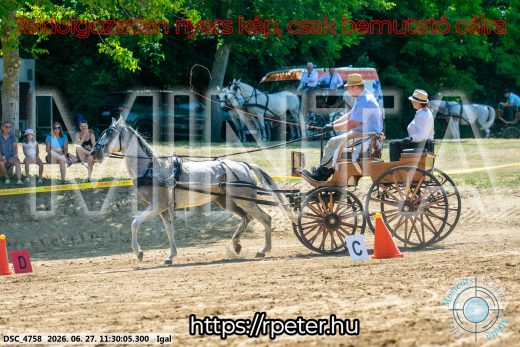 Mintakép 20260627-2511