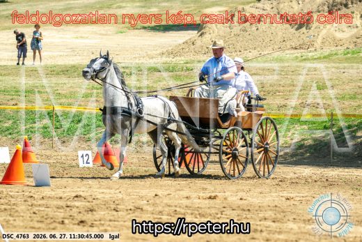 Mintakép 20260627-2513