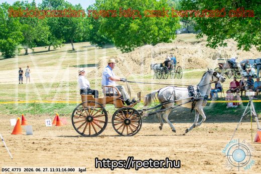 Mintakép 20260627-2517
