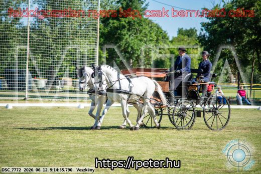 Mintakép 20260612-117