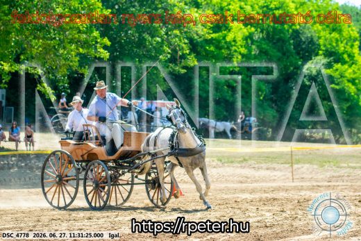 Mintakép 20260627-2522