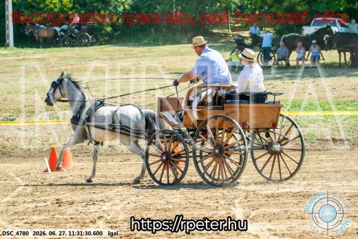 Mintakép 20260627-2524