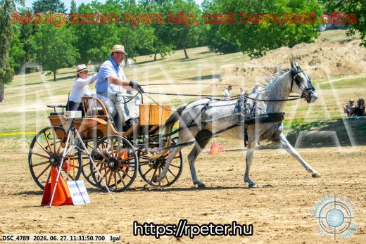 Mintakép 20260627-2530
