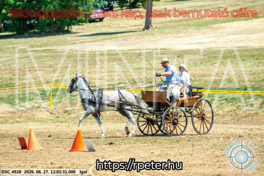 Mintakép 20260627-2539