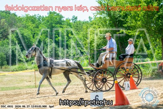 Mintakép 20260627-2542