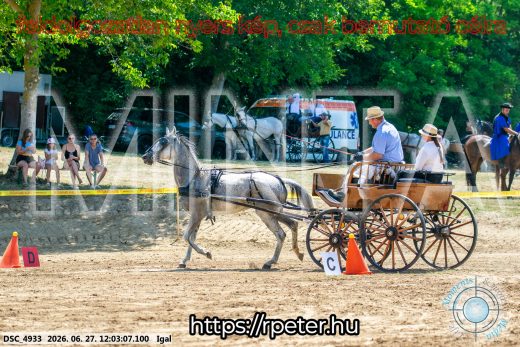 Mintakép 20260627-2544