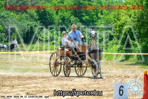 Mintakép 20260627-2547