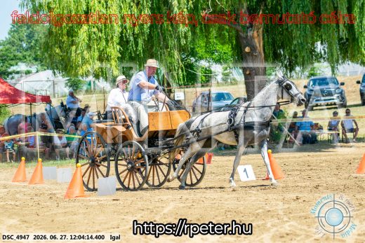 Mintakép 20260627-2553