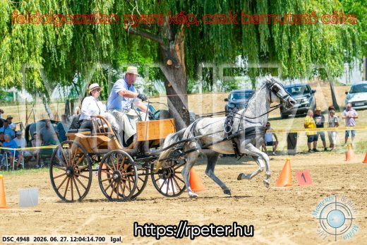 Mintakép 20260627-2554