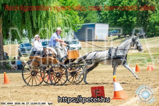 Mintakép 20260627-2555