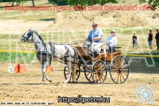Mintakép 20260627-2567