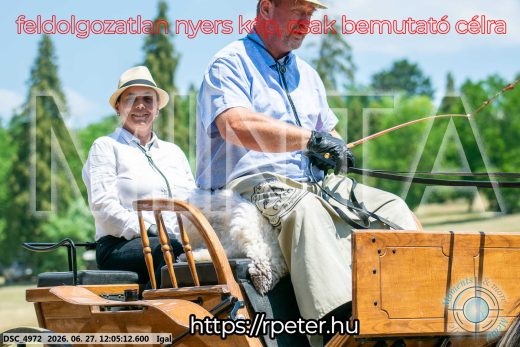 Mintakép 20260627-2569