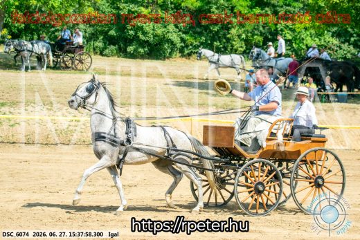 Mintakép 20260627-2570
