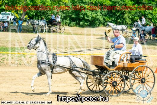 Mintakép 20260627-2571