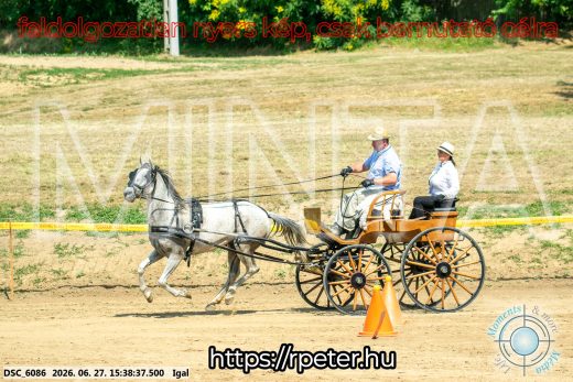 Mintakép 20260627-2574