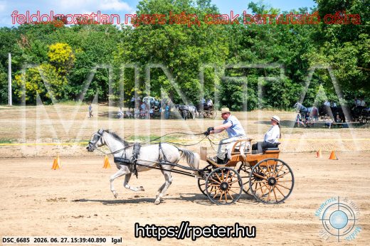 Mintakép 20260627-2585