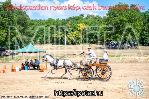 Mintakép 20260627-2587