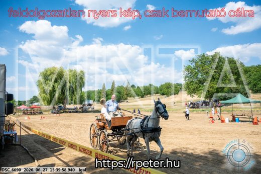 Mintakép 20260627-2589