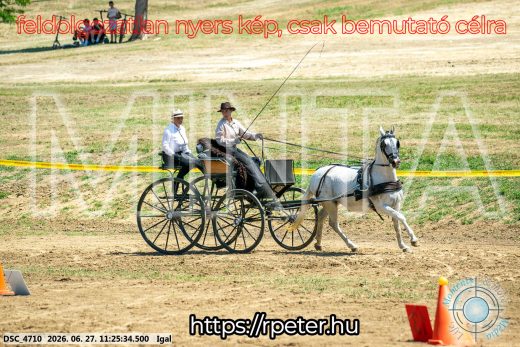Mintakép 20260627-2598