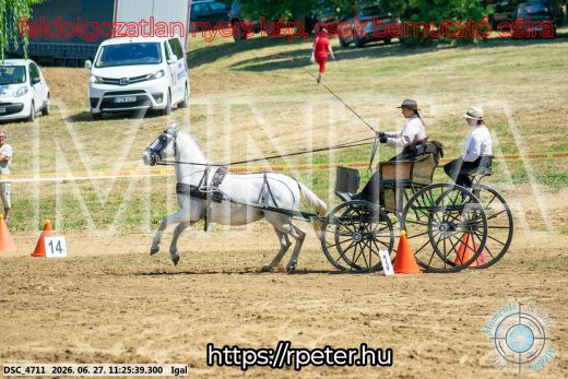 Mintakép 20260627-2599