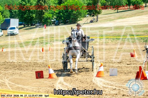 Mintakép 20260627-2601